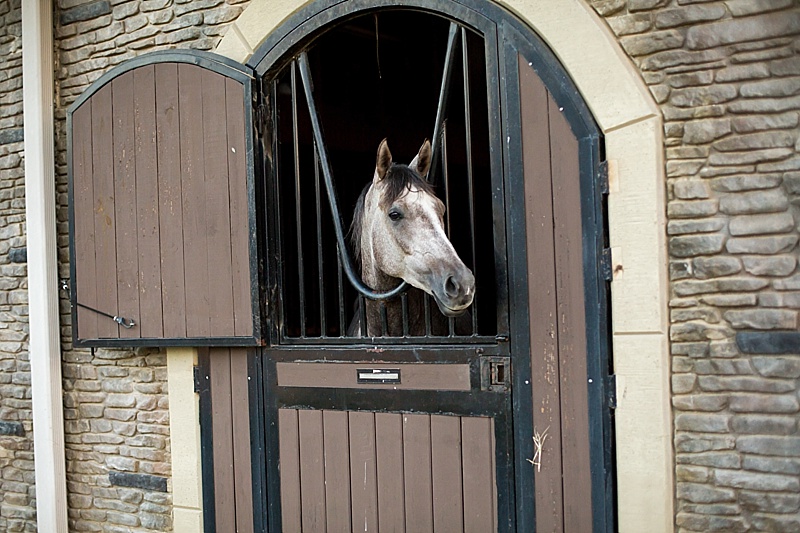 topmississippiweddingphotographer_0154