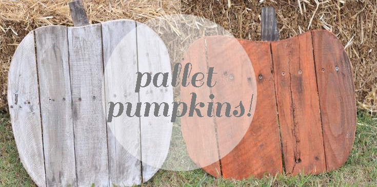 candices pumpkins jpg