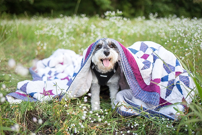 mississippiengagementphotographer_0310