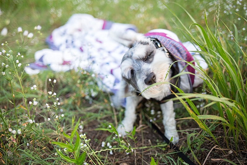 mississippiengagementphotographer_0311