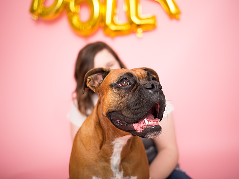 yokota family photographer, yokota air base family photographer, yokota portrait photographer, fussa photographer, fussa family photographer