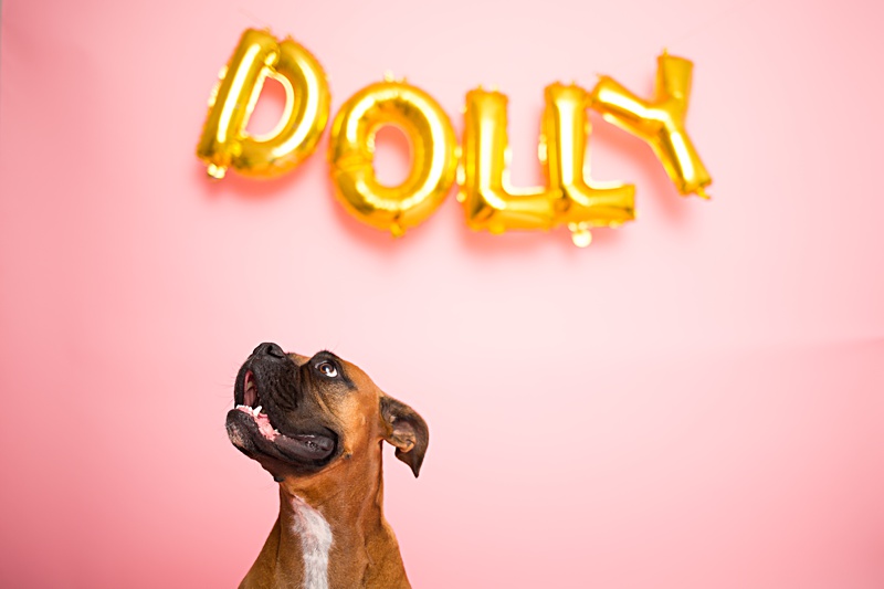 yokota family photographer, yokota air base family photographer, yokota portrait photographer, fussa photographer, fussa family photographer