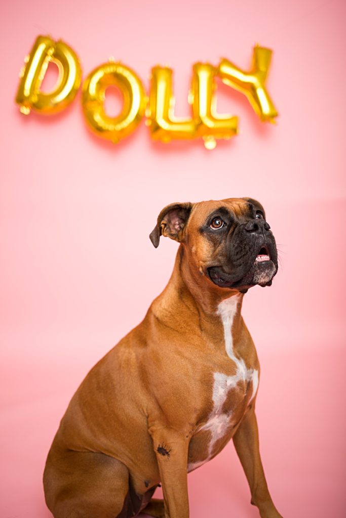 yokota family photographer, yokota air base family photographer, yokota portrait photographer, fussa photographer, fussa family photographer