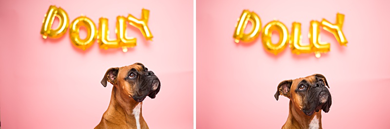 yokota family photographer, yokota air base family photographer, yokota portrait photographer, fussa photographer, fussa family photographer