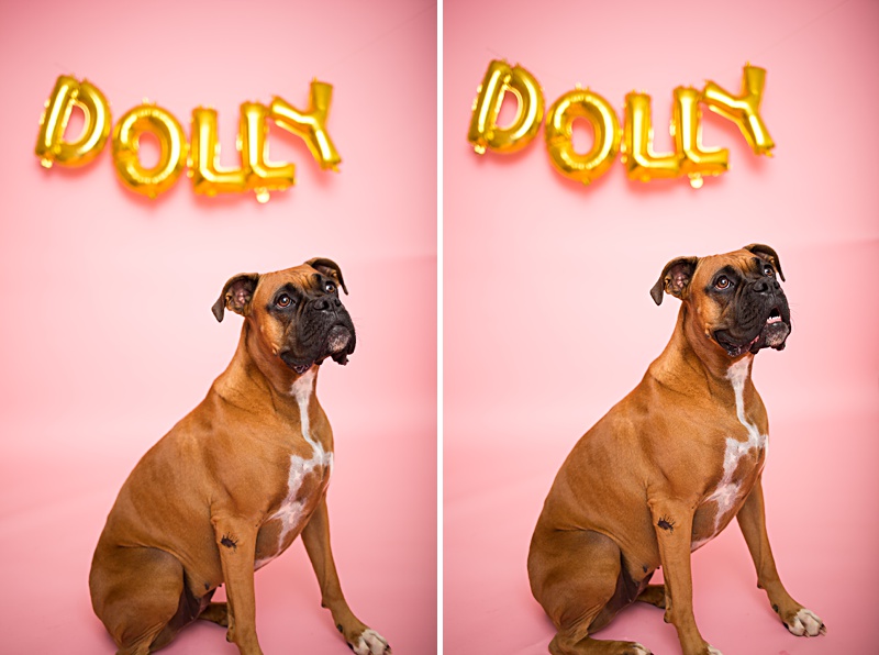 yokota family photographer, yokota air base family photographer, yokota portrait photographer, fussa photographer, fussa family photographer