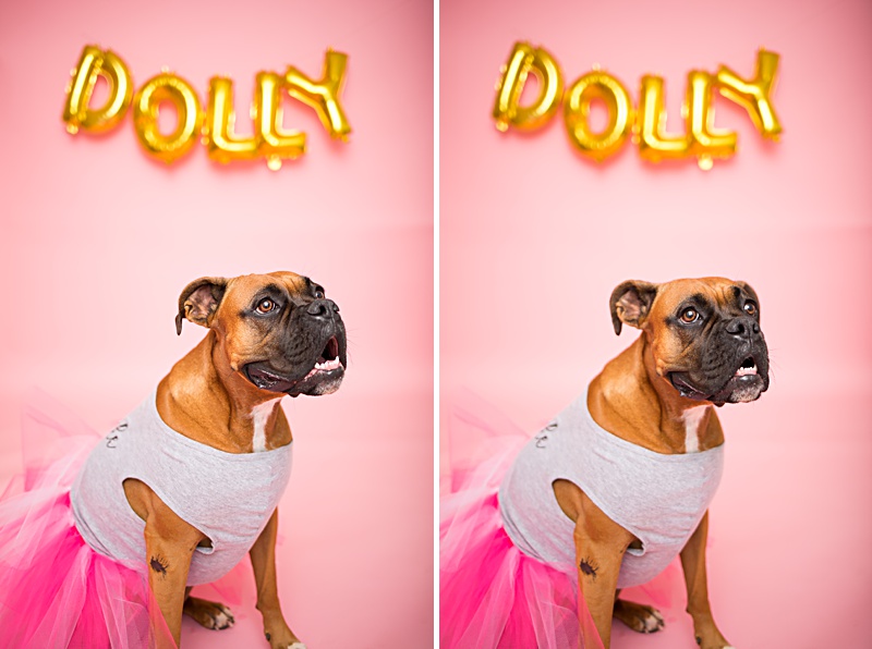 yokota family photographer, yokota air base family photographer, yokota portrait photographer, fussa photographer, fussa family photographer