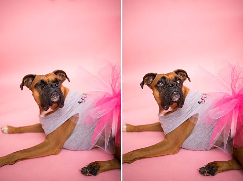 yokota family photographer, yokota air base family photographer, yokota portrait photographer, fussa photographer, fussa family photographer