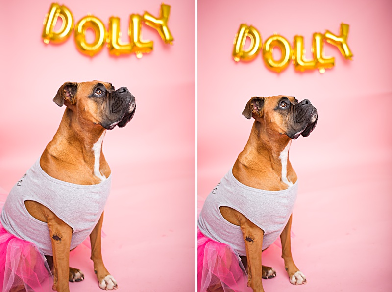 yokota family photographer, yokota air base family photographer, yokota portrait photographer, fussa photographer, fussa family photographer