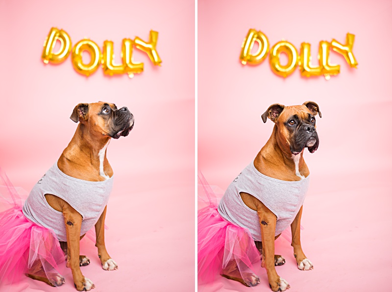 yokota family photographer, yokota air base family photographer, yokota portrait photographer, fussa photographer, fussa family photographer