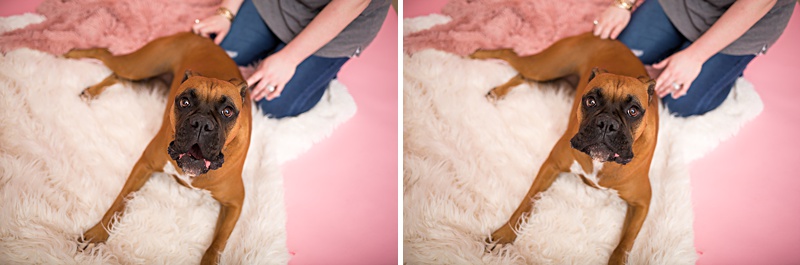 yokota family photographer, yokota air base family photographer, yokota portrait photographer, fussa photographer, fussa family photographer