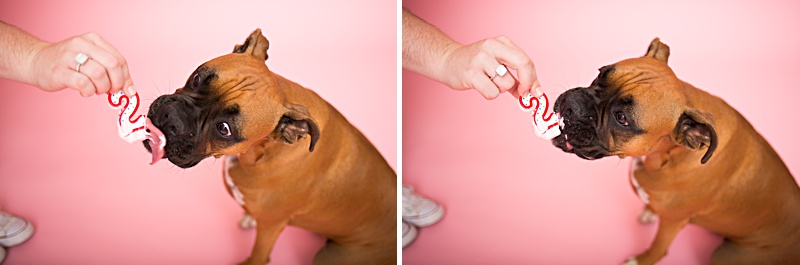 yokota family photographer, yokota air base family photographer, yokota portrait photographer, fussa photographer, fussa family photographer