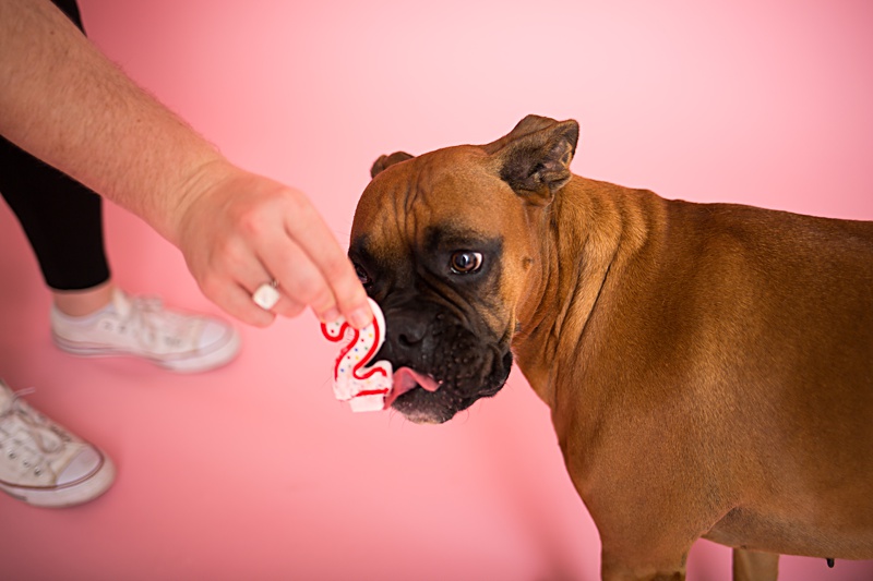 yokota family photographer, yokota air base family photographer, yokota portrait photographer, fussa photographer, fussa family photographer