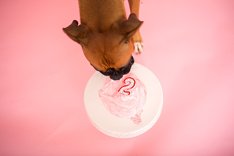 yokota family photographer, yokota air base family photographer, yokota portrait photographer, fussa photographer, fussa family photographer