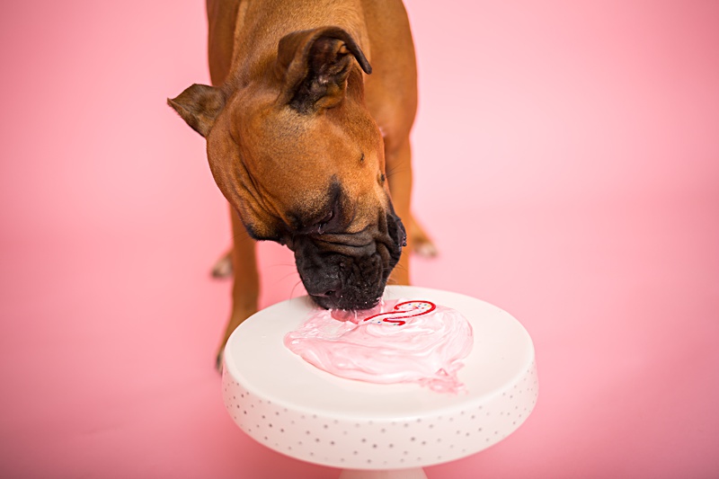 yokota family photographer, yokota air base family photographer, yokota portrait photographer, fussa photographer, fussa family photographer