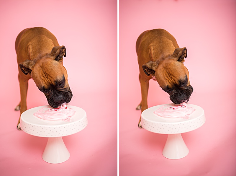 yokota family photographer, yokota air base family photographer, yokota portrait photographer, fussa photographer, fussa family photographer