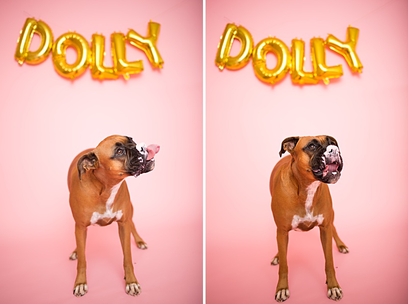 yokota family photographer, yokota air base family photographer, yokota portrait photographer, fussa photographer, fussa family photographer