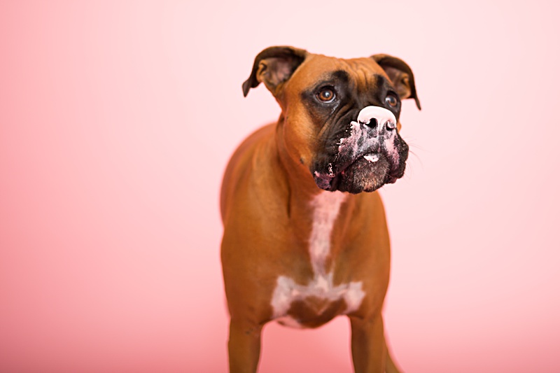 yokota family photographer, yokota air base family photographer, yokota portrait photographer, fussa photographer, fussa family photographer