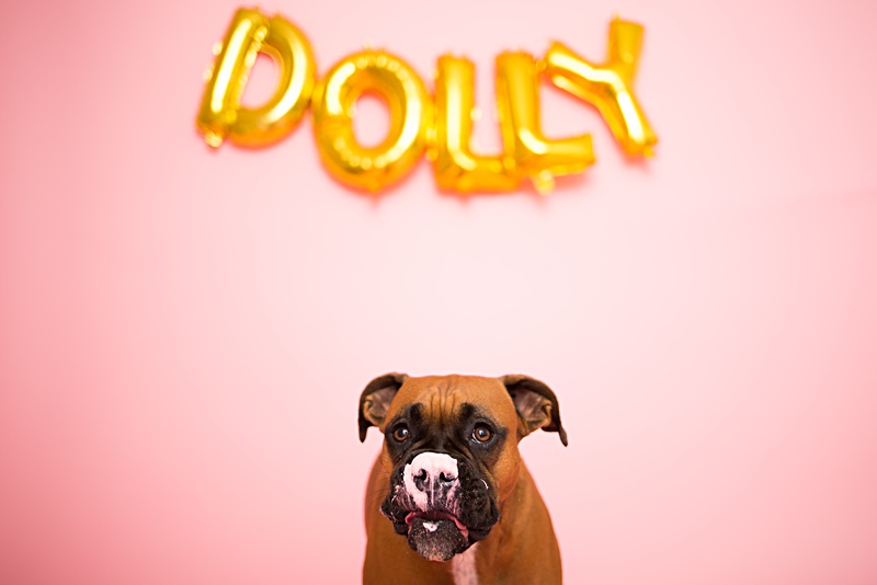 yokota family photographer, yokota air base family photographer, yokota portrait photographer, fussa photographer, fussa family photographer