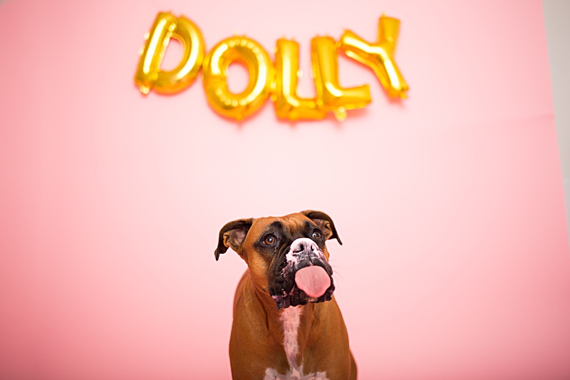 yokota family photographer, yokota air base family photographer, yokota portrait photographer, fussa photographer, fussa family photographer