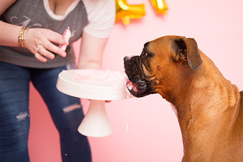 yokota family photographer, yokota air base family photographer, yokota portrait photographer, fussa photographer, fussa family photographer