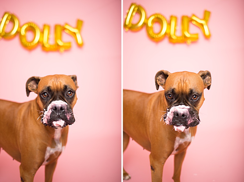 yokota family photographer, yokota air base family photographer, yokota portrait photographer, fussa photographer, fussa family photographer