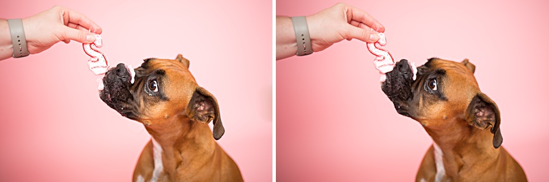 yokota family photographer, yokota air base family photographer, yokota portrait photographer, fussa photographer, fussa family photographer