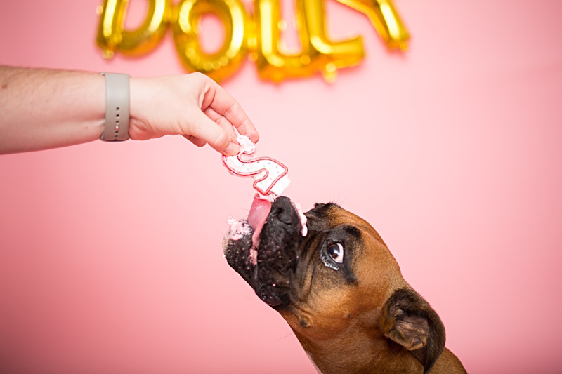 yokota family photographer, yokota air base family photographer, yokota portrait photographer, fussa photographer, fussa family photographer