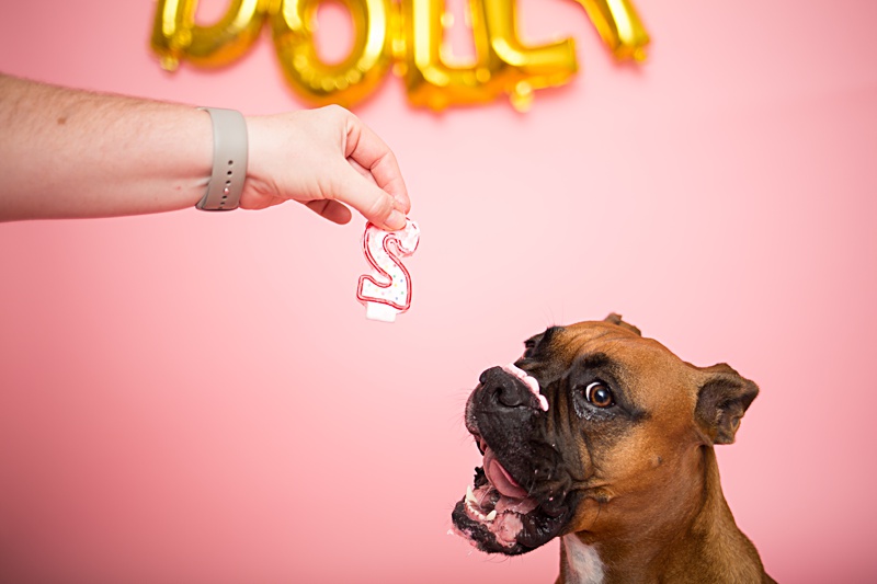 yokota family photographer, yokota air base family photographer, yokota portrait photographer, fussa photographer, fussa family photographer