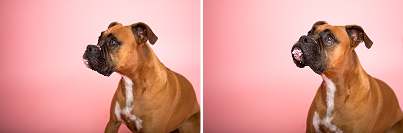 yokota family photographer, yokota air base family photographer, yokota portrait photographer, fussa photographer, fussa family photographer