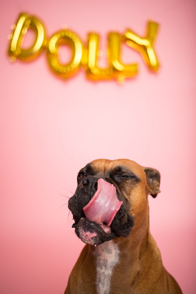 yokota family photographer, yokota air base family photographer, yokota portrait photographer, fussa photographer, fussa family photographer