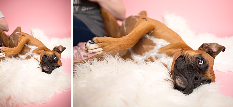 yokota family photographer, yokota air base family photographer, yokota portrait photographer, fussa photographer, fussa family photographer