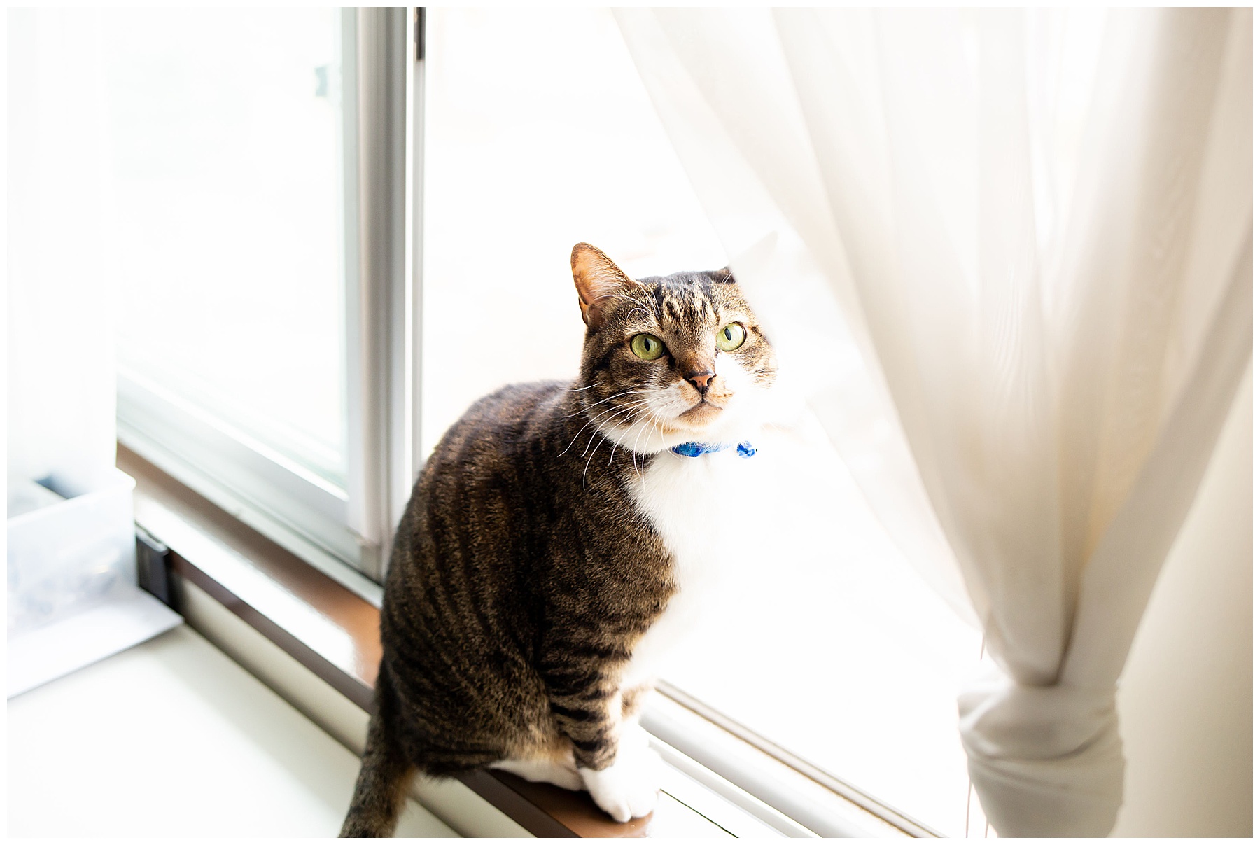 Yokota Air Base Small Business Photographer, Yokota Air Base Business Photographer, Yokota Air Force Base Headshots, Yokota Air Base Headshots, Yokota Headshots, Yokota Air Base Business Photos, Tokyo Branded Photos, Tokyo Business Branding Photographer