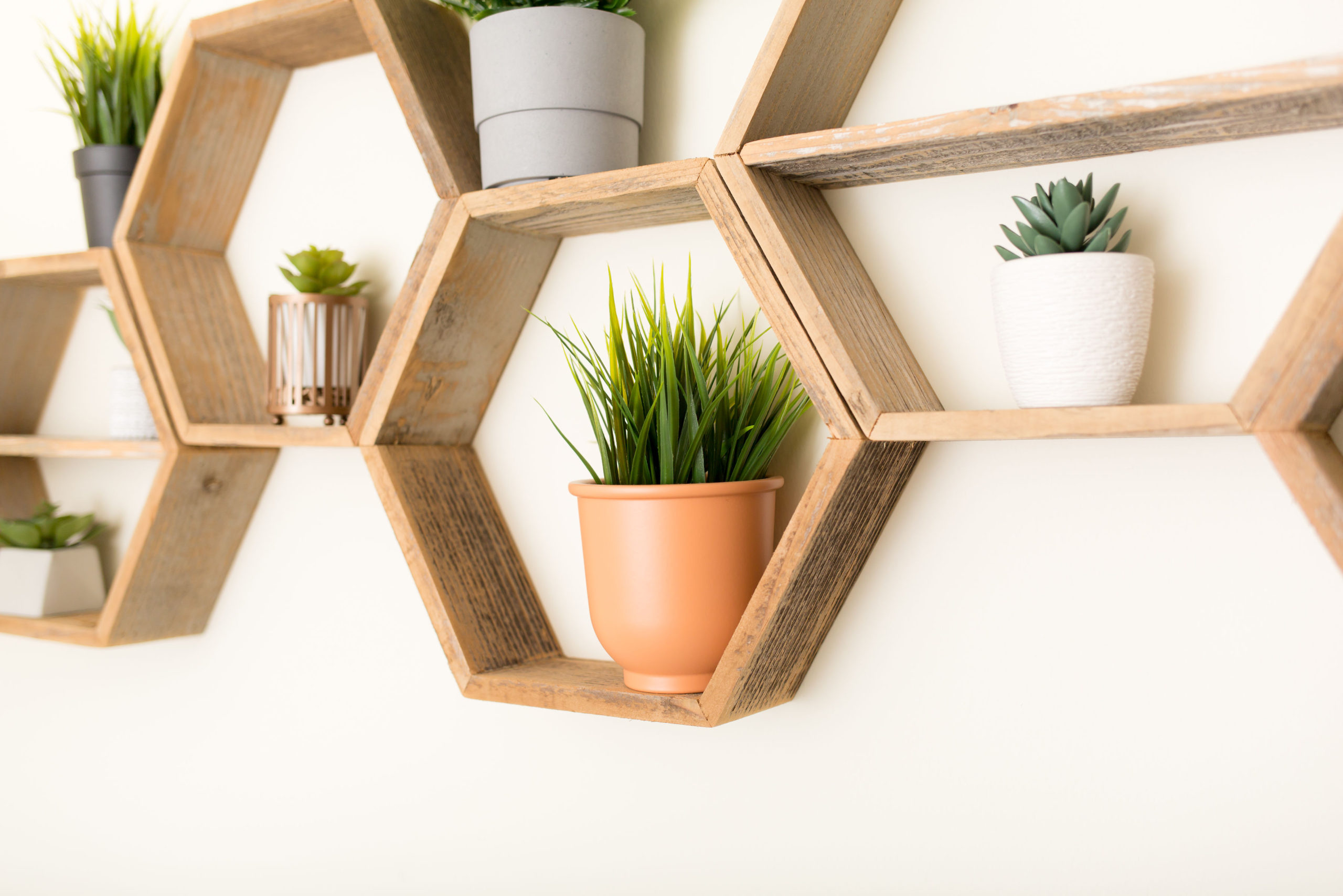 Yokota Air Base Photographer