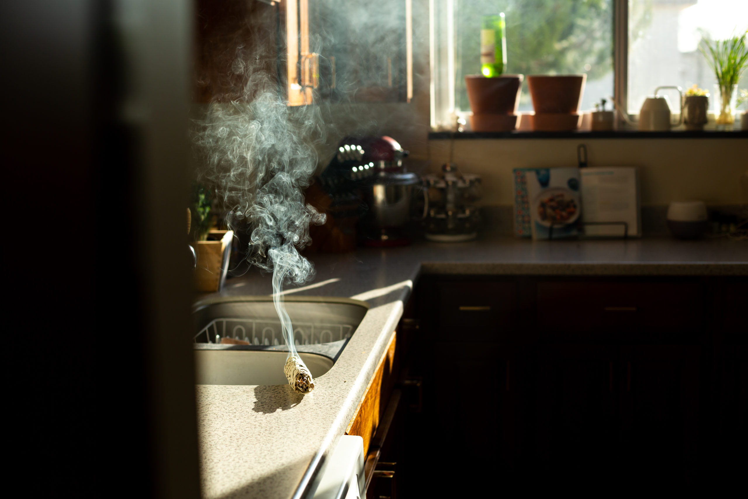 Small Business Mentorship, Business Mentorship, Entrepreneur mentorship, online business mentorship