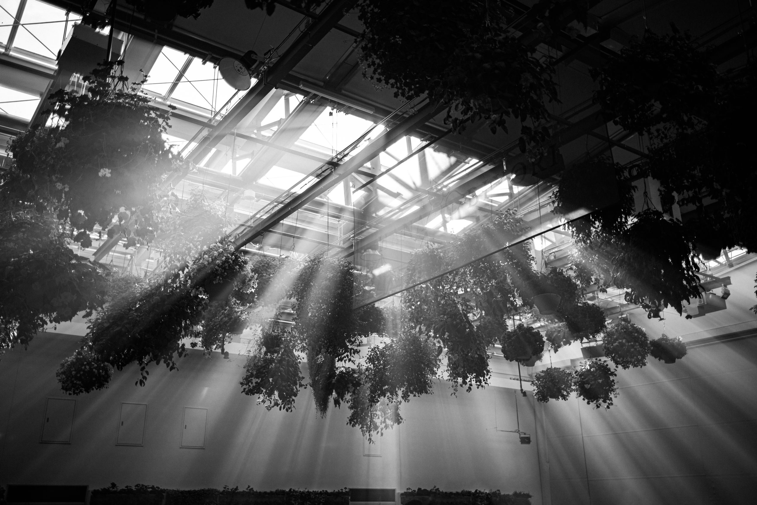 Learn how to be a tough business owner, being a tough business owner, how to fail, how to succeed at business ownership